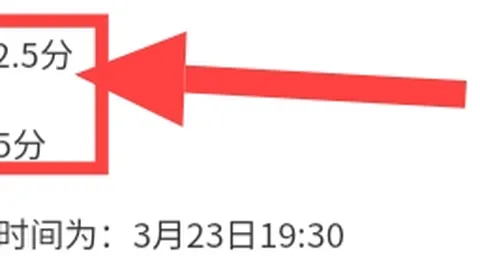 勒沃库森战胜海登海姆，独占联赛榜首